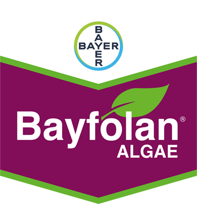 Bayfolan® Algae