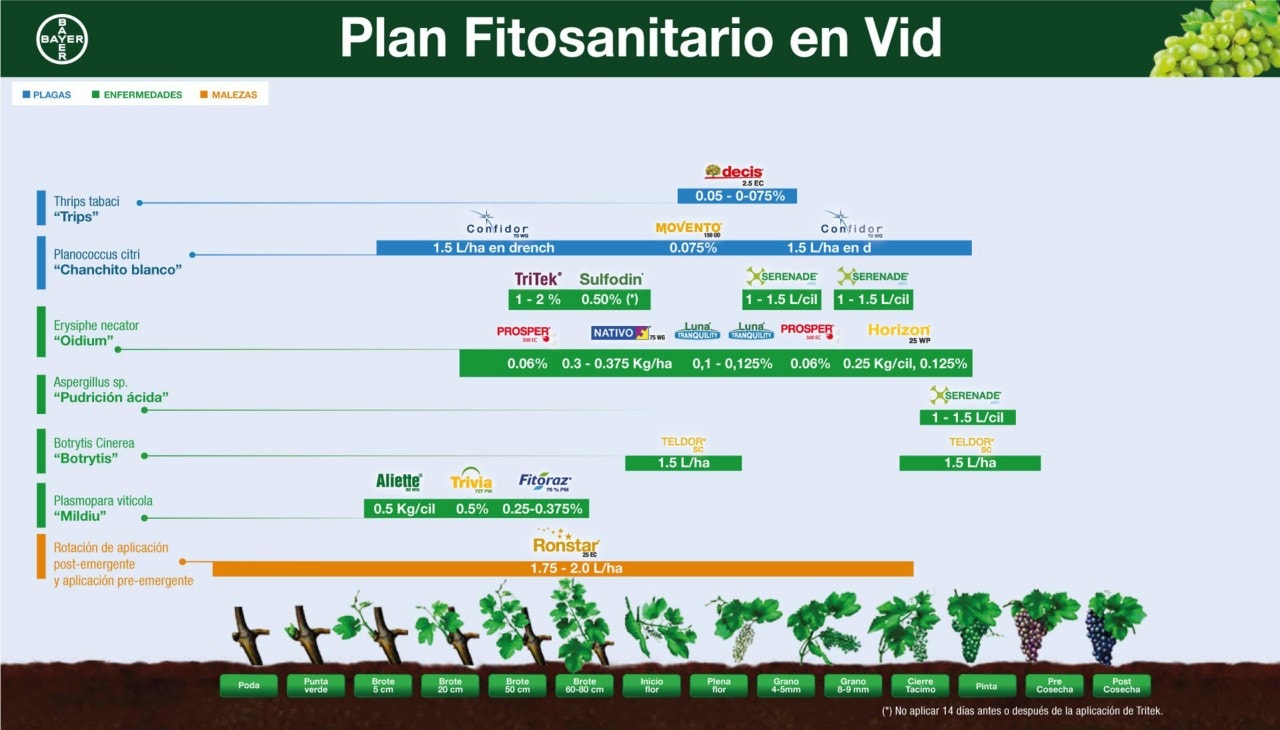 Fenología Arroz