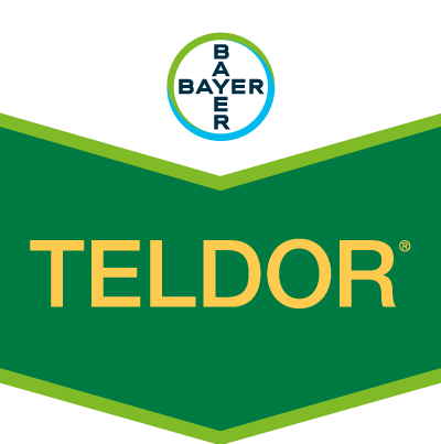 Teldor®