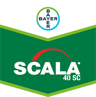 Scala® 40 SC Scala® 40 SC