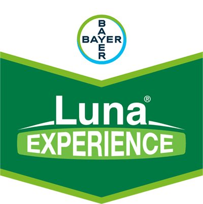 Luna® Experience Luna® Experience