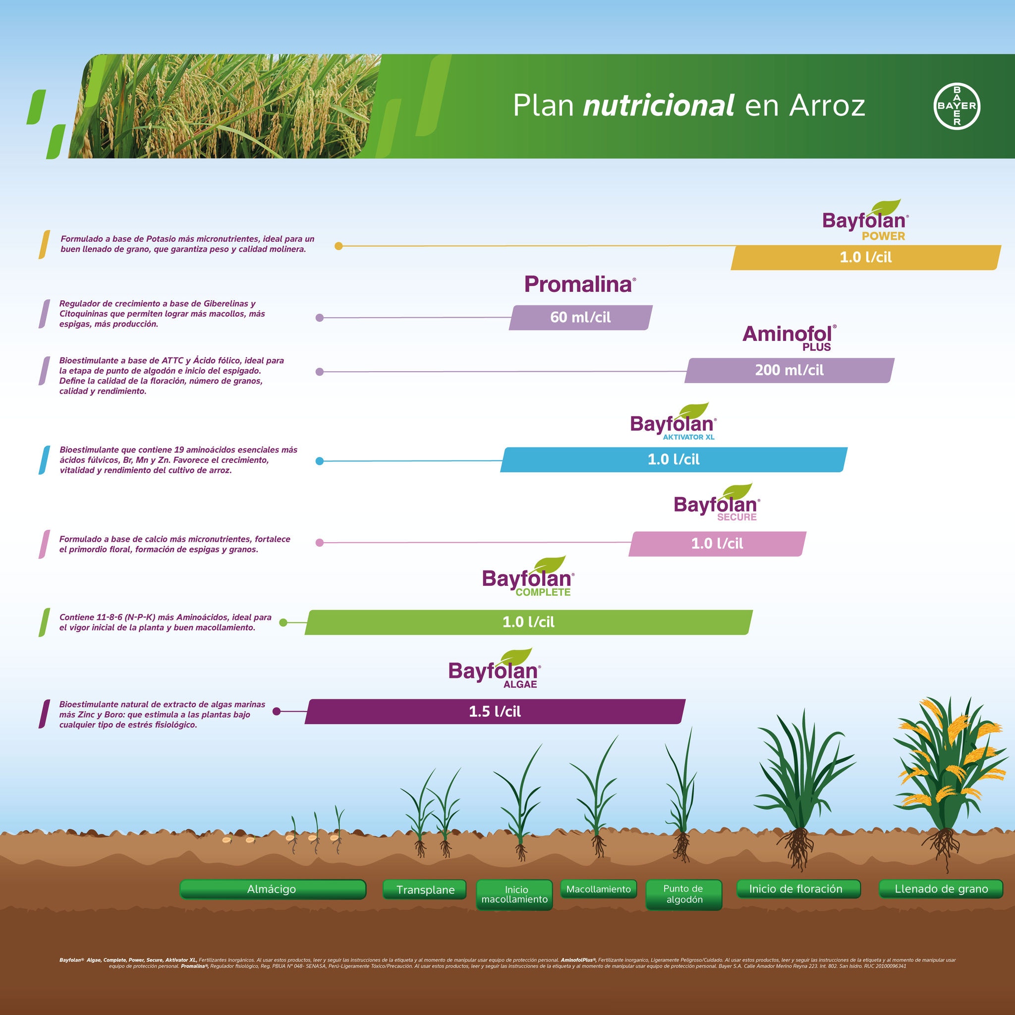 Fenología Plan Nutricional Arroz