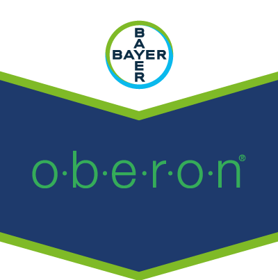 Oberon® Oberon®