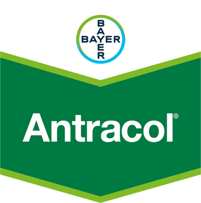 Antracol®