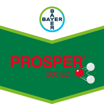 Prosper® Prosper®