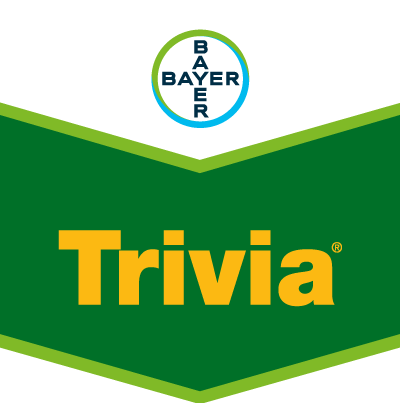 Trivia® Trivia®