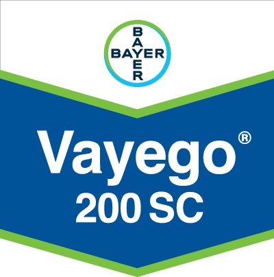 Vayego®