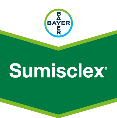 Sumisclex®