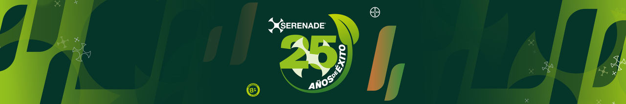 HEADER_WEBSITE_SERENADE_25A-1680X280